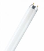 Люм лампа Osram L18/77  G13 D26mm  590mm (для растений)(10шт)